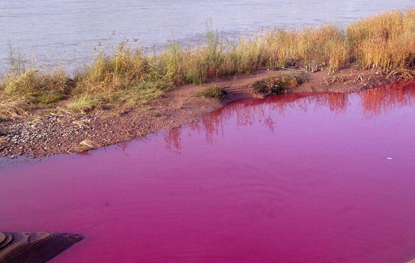 �ؽ�����Ⱦ